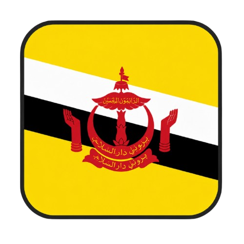 Telegram | 2FA is enabled. TDATA + JSON .SESSION. Verified by phone number +673 (Brunei Darussalam). Account age: 3+ days. Registration country: Brunei Darussalam.