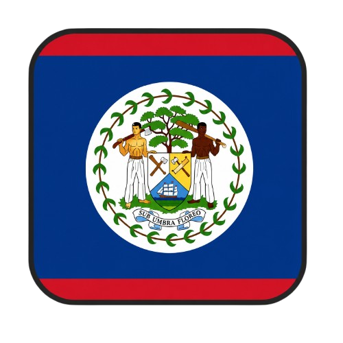 Telegram | 2FA enabled. TDATA + JSON Session. Age: 180+ days. Registration country: +501 (Belize).
