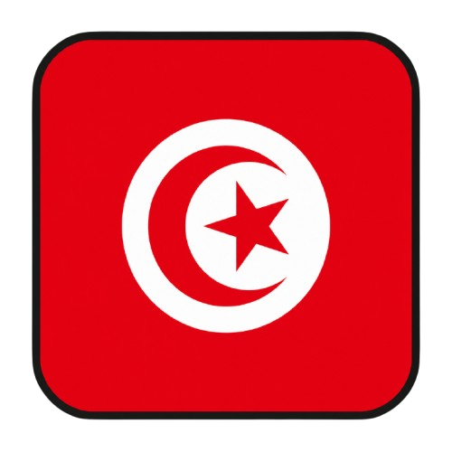Telegram | 2FA is enabled. TDATA + JSON .SESSION. Verified by phone number +216 (Tunisia). Account age: 3+ days. Registration country: Tunisia.