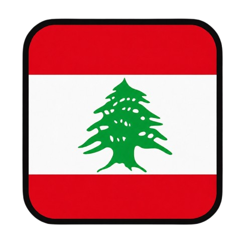 Telegram | 2FA is enabled. TDATA + JSON .SESSION. Verified by phone number +961 (Lebanon). Account age: 3+ days. Registration country: Lebanon.