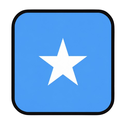 Telegram | 2FA enabled. TDATA + JSON Session. Age: 180+ days. Registration country: +252 (Somalia).